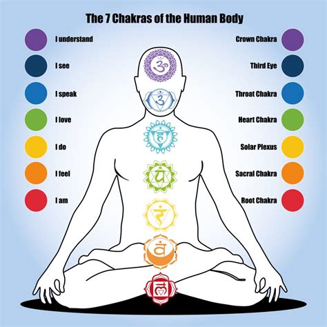 Are chakras real. Things To Know About Are chakras real. 